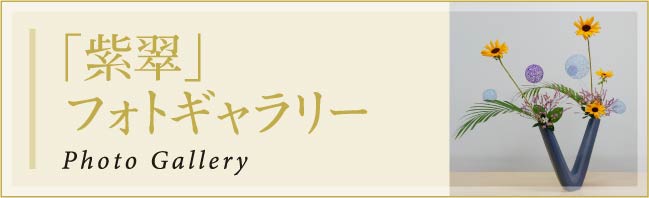 tHgM[