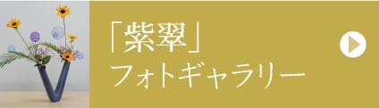 tHgM[